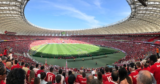 球视野之中