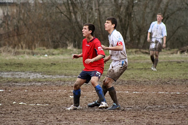 商聚新成势 商聚新成势