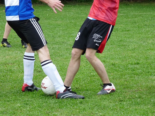 需要的不仅 需要的不仅