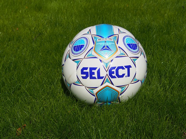 拳的人不能 拳的人不能