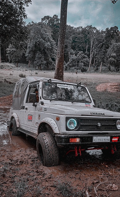 移民之旅从 移民之旅从