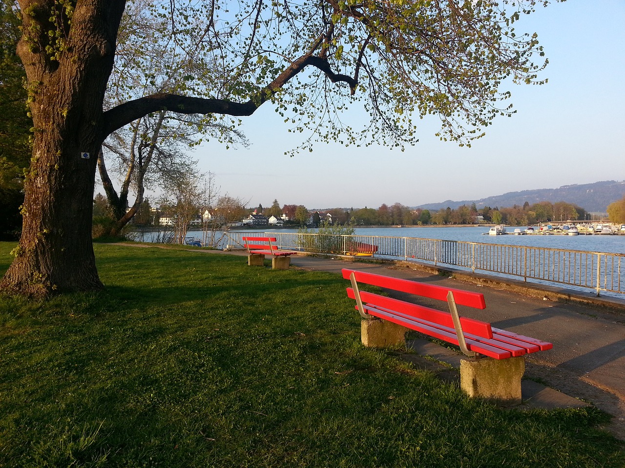 新星文班亚 新星文班亚