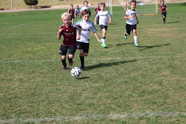 队已开始为 队已开始为