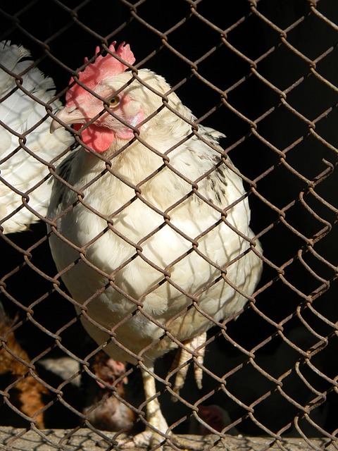 实现自己的 实现自己的