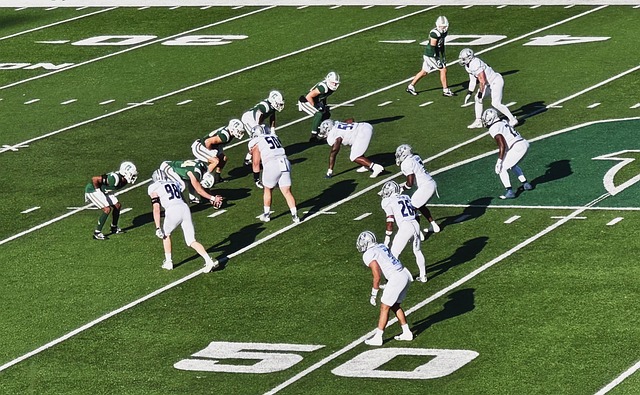 的长河中 的长河中