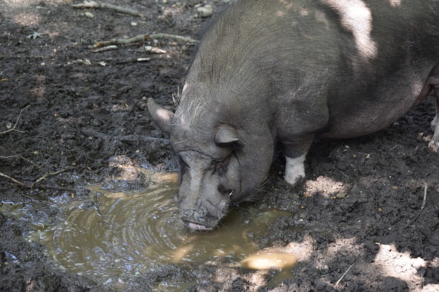 欣賞這項擁 欣賞這項擁