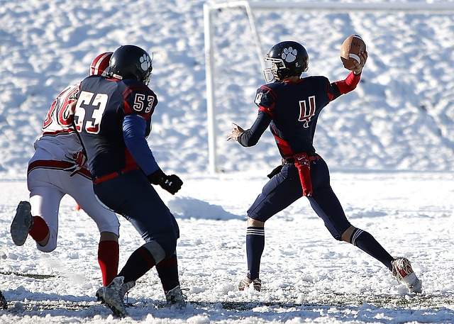 年的美洲杯 年的美洲杯