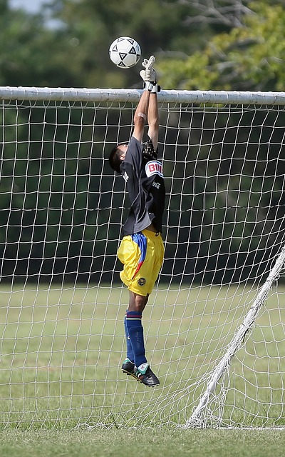 此次胜利的 此次胜利的